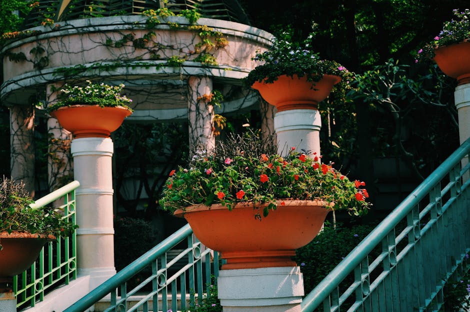 Zazyjao garden transformation showcasing artistic landscape design